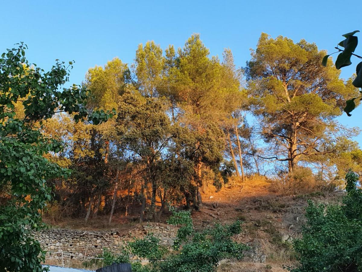 Torroja Apartment Cal Viola מראה חיצוני תמונה